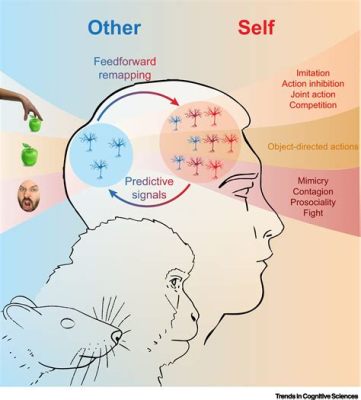 アネロン 持続時間：時間の流れと人間の認識